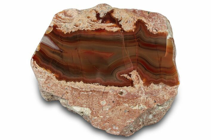 Polished Partial Thunderegg with Colorful Agate #300162